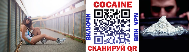 продажа наркотиков  Спас-Деменск  Кокаин FishScale 