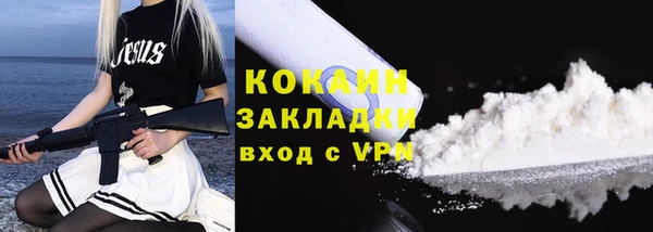 прущие грибы Армянск