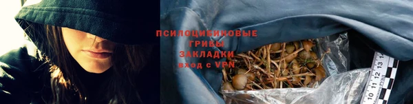 прущие грибы Армянск