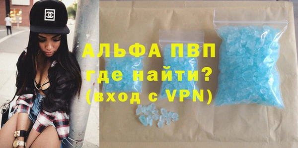 прущие грибы Армянск